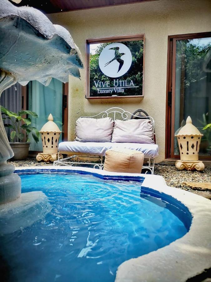 Vive Utila - Bed & Breakfast エクステリア 写真