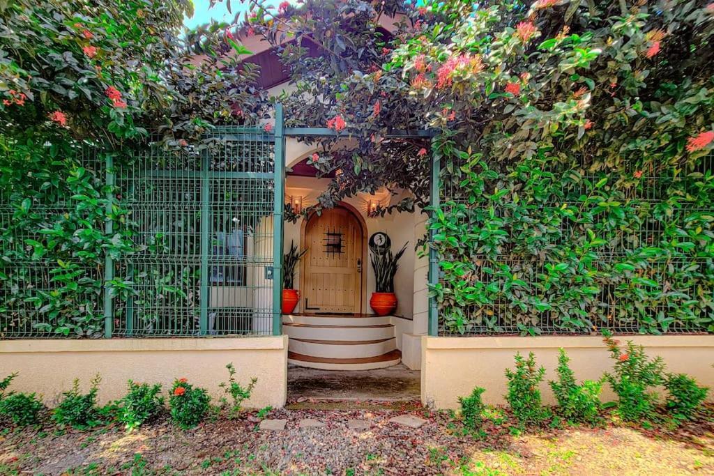Vive Utila - Bed & Breakfast エクステリア 写真