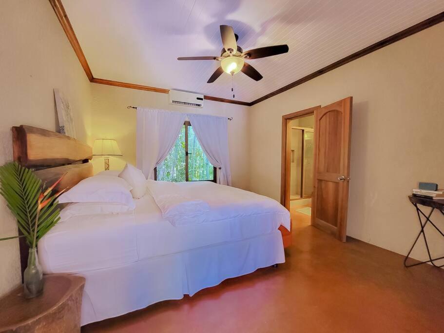 Vive Utila - Bed & Breakfast エクステリア 写真