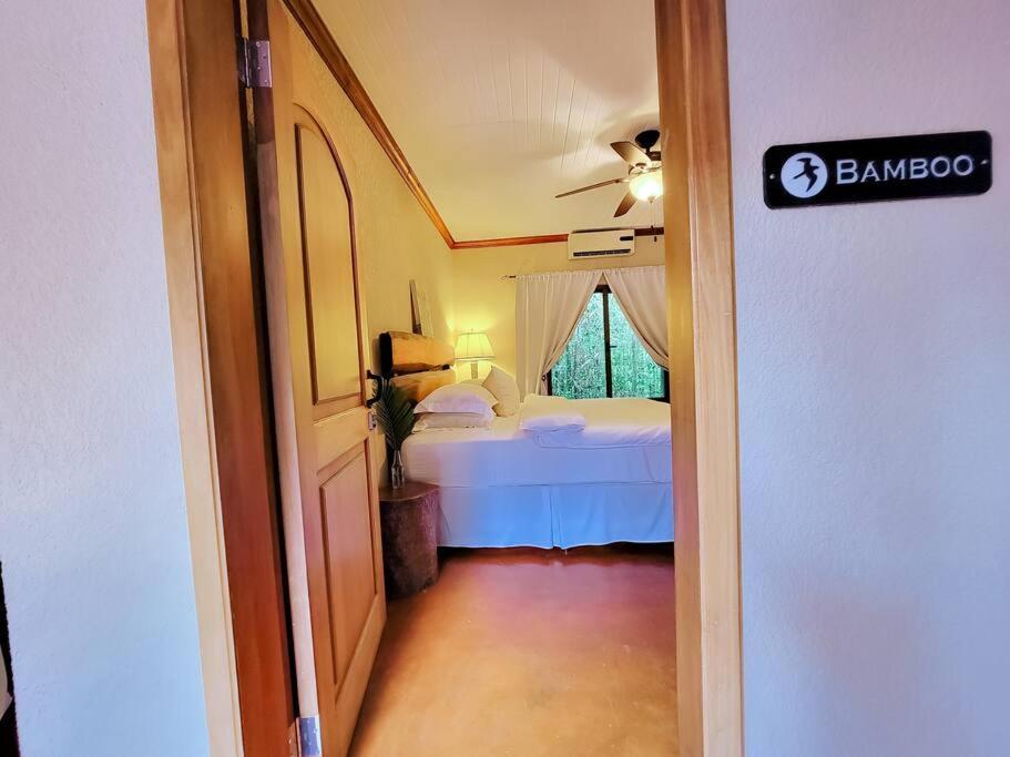 Vive Utila - Bed & Breakfast エクステリア 写真