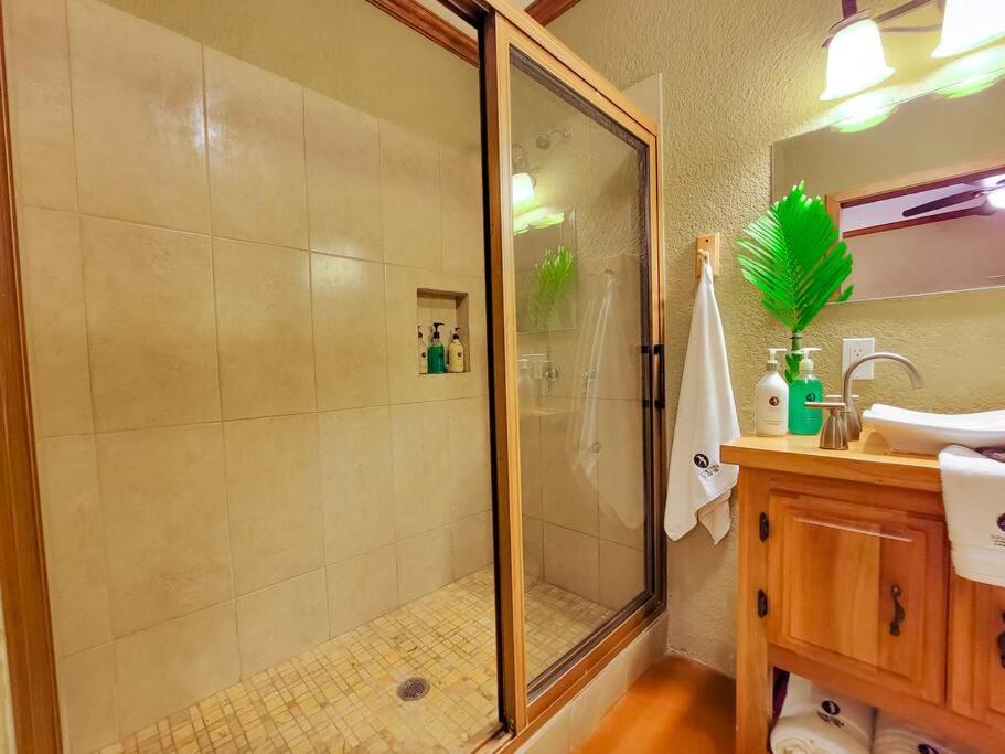 Vive Utila - Bed & Breakfast エクステリア 写真
