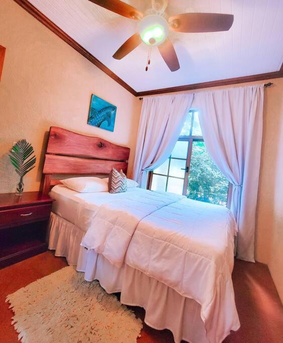 Vive Utila - Bed & Breakfast エクステリア 写真