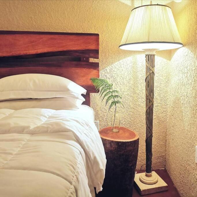 Vive Utila - Bed & Breakfast エクステリア 写真