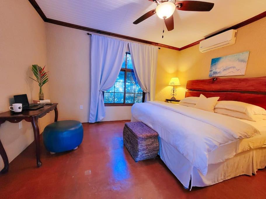Vive Utila - Bed & Breakfast エクステリア 写真