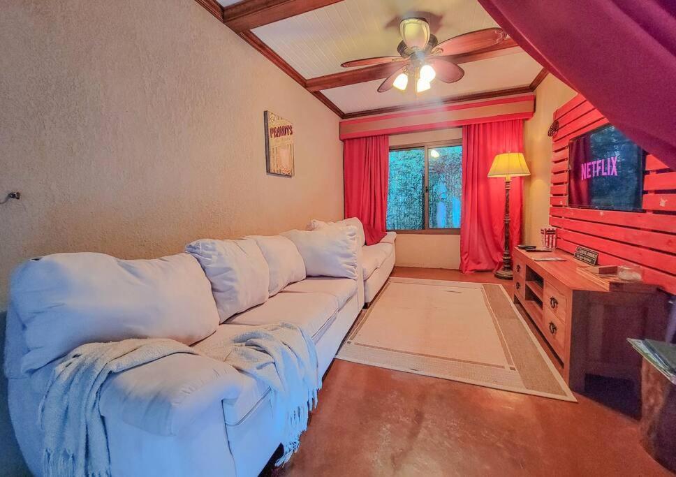 Vive Utila - Bed & Breakfast エクステリア 写真